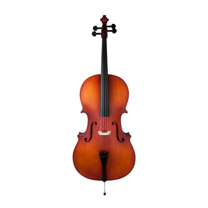 cello iniciacion amadeus tamañao 1/8