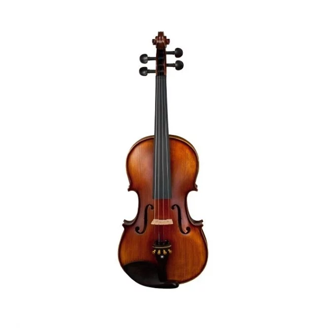 VIOLÍN AMADEUS HV-300