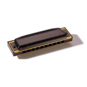 Armónica Hohner Pro Harp 20V 562/20 (Eb)
