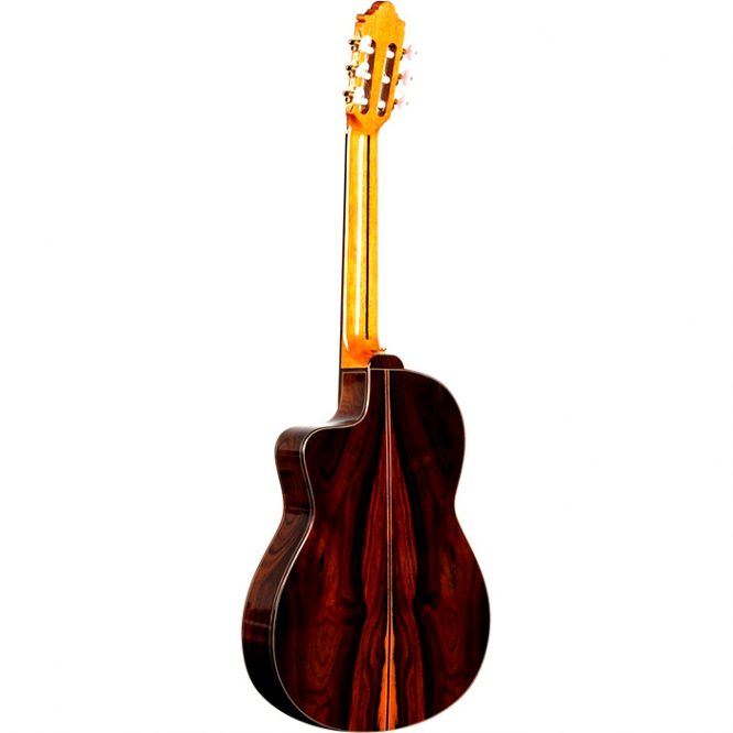 Guitarra_camps_NAC4