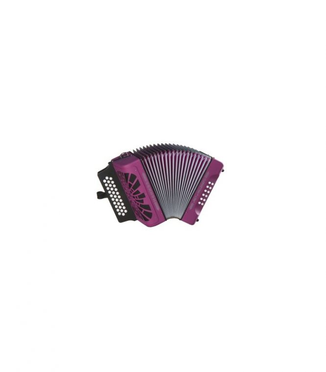 Acordeón Hohner Rey Vallenato GCF A-4921 Violeta