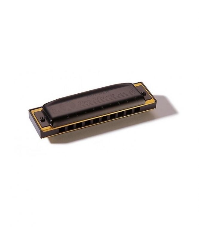 Armónica Hohner Pro Harp 20V 562/20 (A)