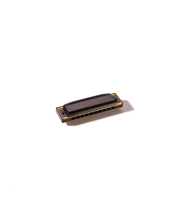Armónica Hohner Pro Harp 20V 562/20 (Bb)