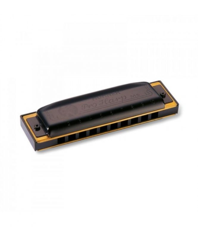 Armónica Hohner Pro Harp 20V 562/20 (C)