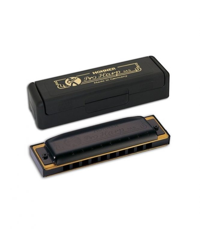 Armónica Hohner Pro Harp 20V 562/20 (Db)