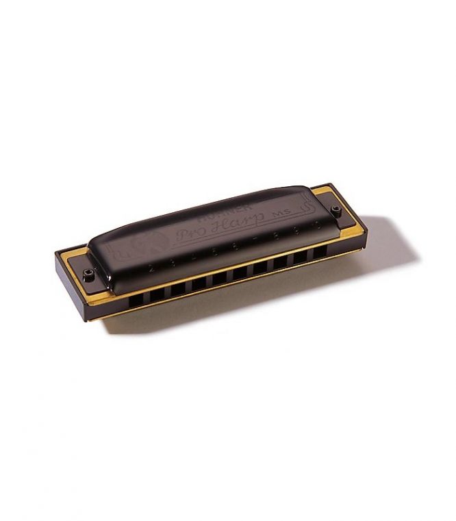 Armónica Hohner Pro Harp 20V 562/20 (Eb)