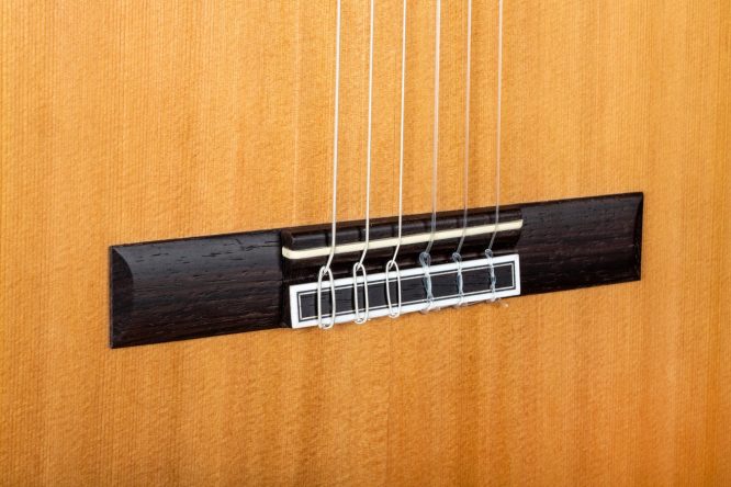 Guitarra Clásica Camps Cedro SP-6C - Imagen 3