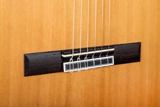 Guitarra Clásica Camps Cedro M-6C - Imagen 3