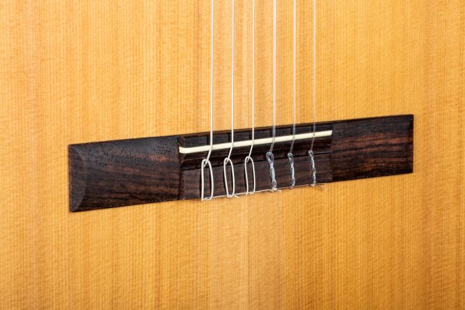 Guitarra Clásica Camps Sinfonia-S - Imagen 6