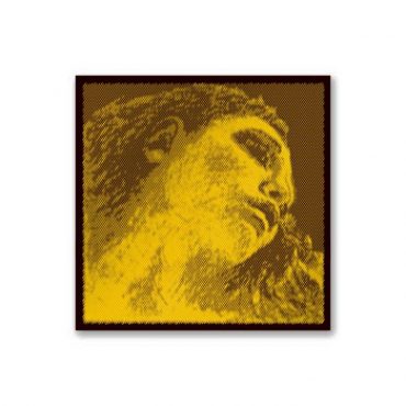 Cuerda 2ª Pirastro Cello Evah Pirazzi Gold 335220