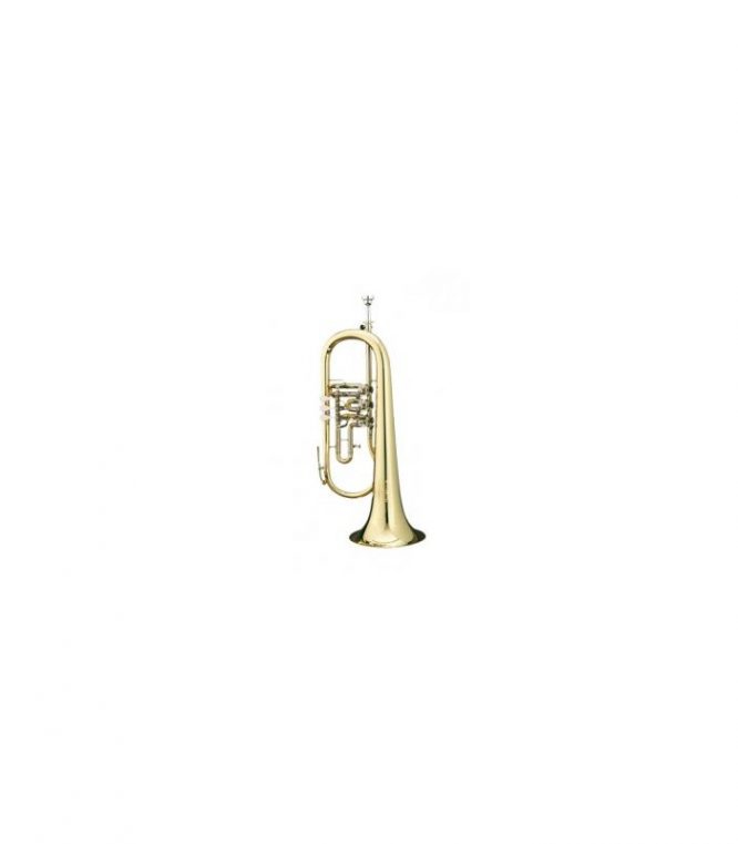 Fliscorno B&S BS-172T-1-0 Lacado