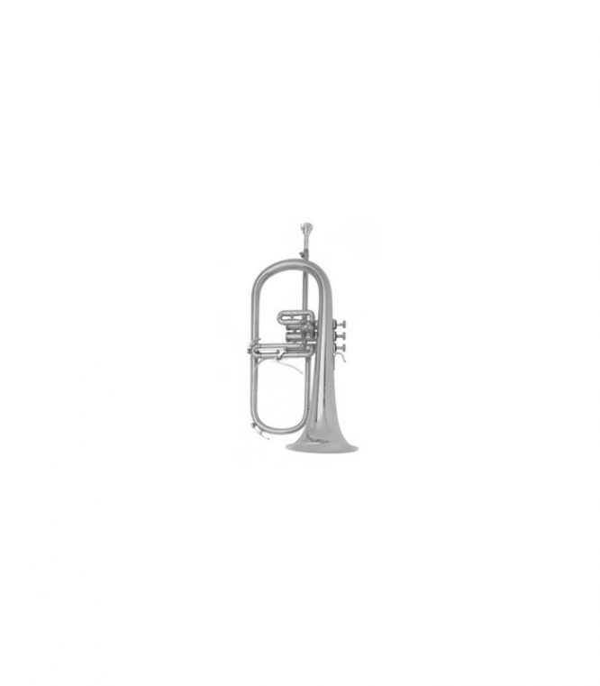 Fliscorno B&S BS-31462-2-0 Plateado