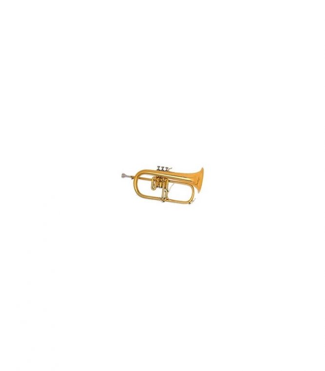 Fliscorno B&S BS-31462G-8-0 Lacado