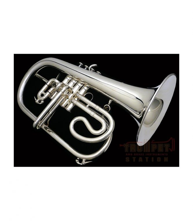 Fliscorno Courtois AC156R-2-0 Plateado