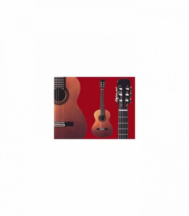 Guitarra Ramírez 1ª Especial Palosanto