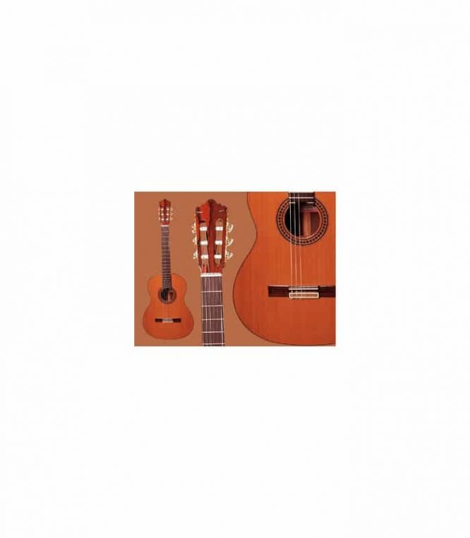 Guitarra Ramírez  4-NE Palosanto