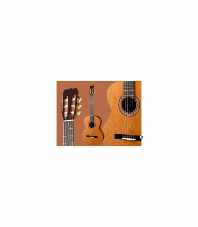 Guitarra Ramírez  RB Palosanto