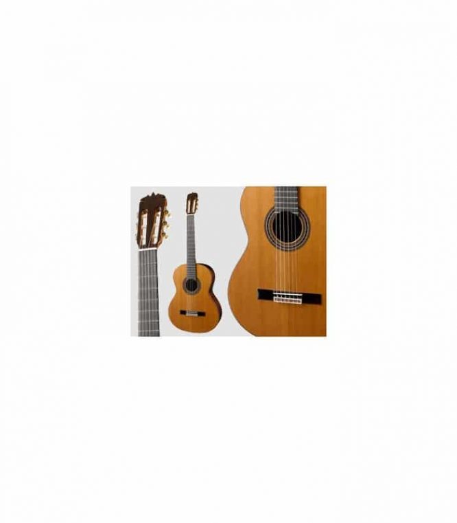 Guitarra Ramírez SPR-A Palosanto