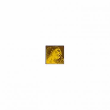 Juego Violín Pirastro Evah Pirazzi Gold G-Plata 415921