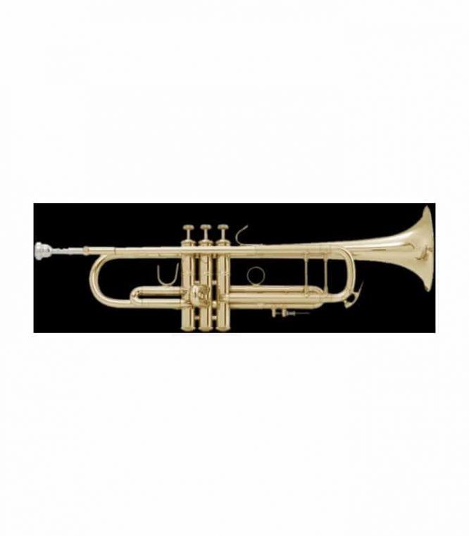 Trompeta Bach Stradivarius ML-180/72 Goldmessing
