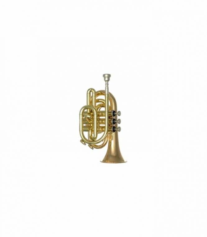 Trompeta Fides Pocket Sm.Bell FPT-5000ML Goldmessing