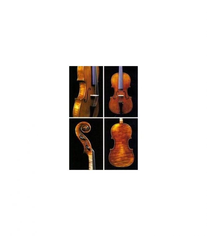 Viola Jay Haide Stradivari Antique 16