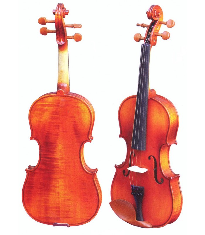 Violín Gaudieri HD-V21 1/8