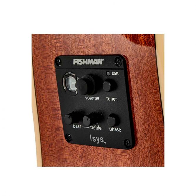 Guitarra The Tasman Dreadnought Cutaway Electro-Acústica Fishman Presys II TA100-CE - Imagen 4
