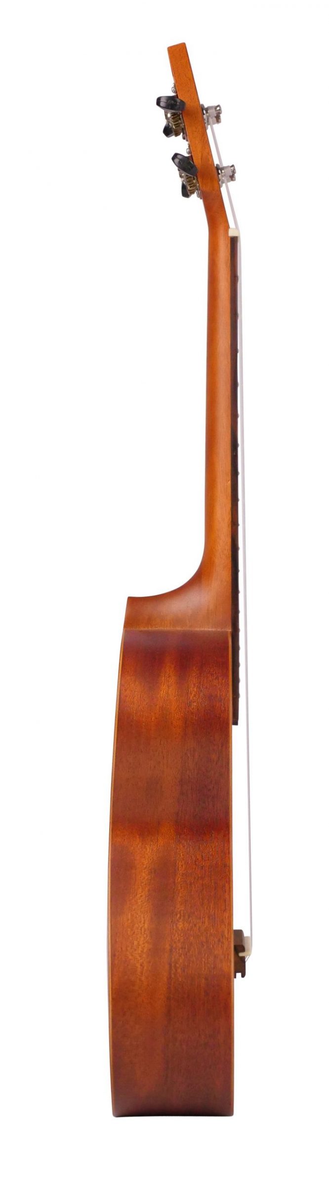 Ukelele Ashton Tenor De Caoba - Imagen 3