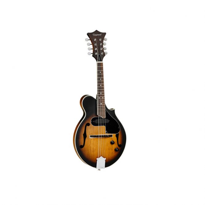 Mandolina Tanglewood TWMFVSE