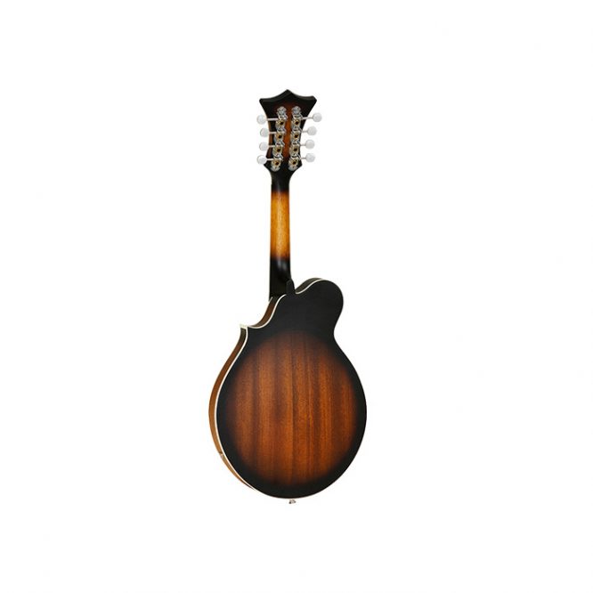 Mandolina Tanglewood TWMFVSE - Imagen 2