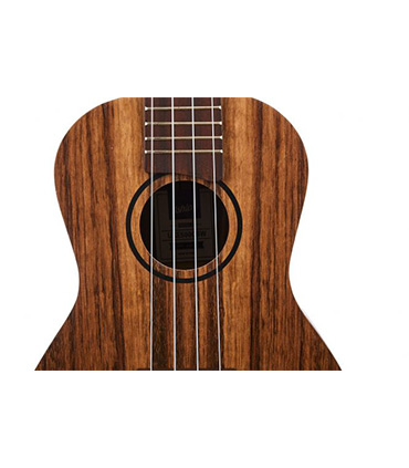 Ukelele Ashton De Concierto Acabado Black Walnut Cuerdas Aquila - Imagen 2