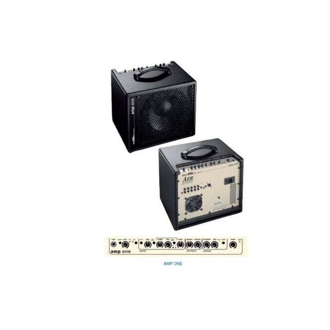 Amplificador para Bajo AER Ampone 200W - Imagen 2