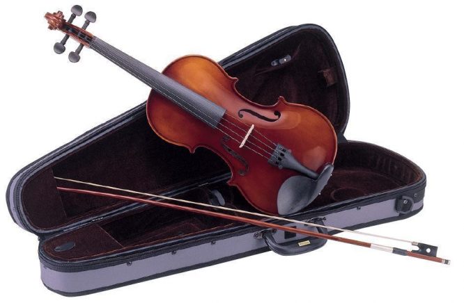 VIOLÍN CARLO GIORDANO VS1 4/4