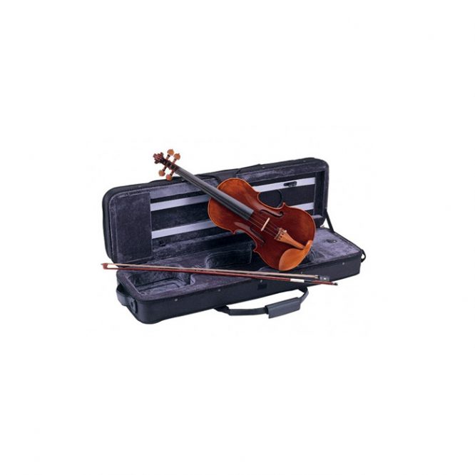Violín Carlo Giordano Nivel Alto 1/2 VS2