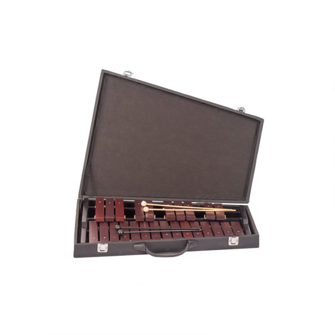 XILÓFONO RITMO CROMÁTICO 2 OCTAVAS DE FA-FA CON FUNDA