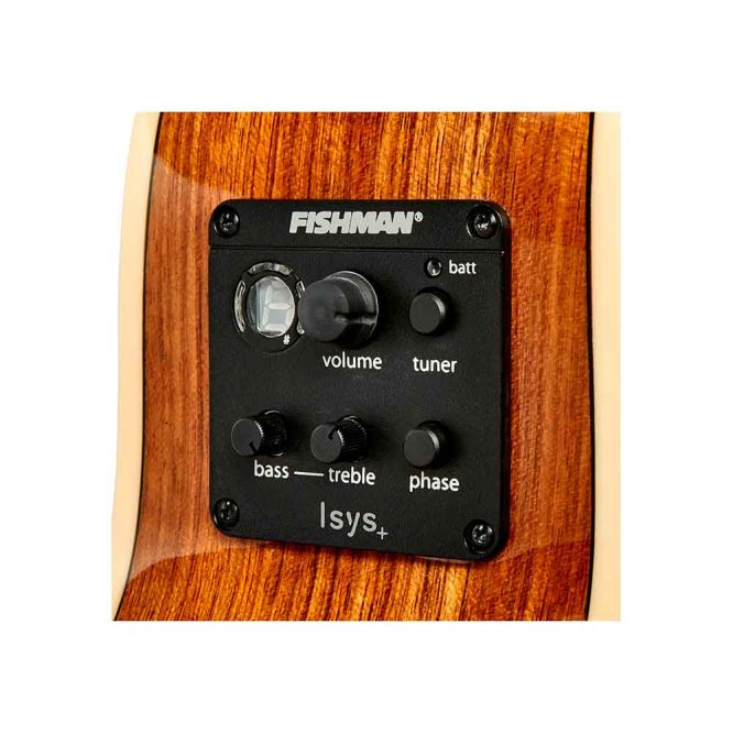 Guitarra The Tasman Mini Jumbo Electro-Acústica Fishman Presys II TA100M-E - Imagen 4
