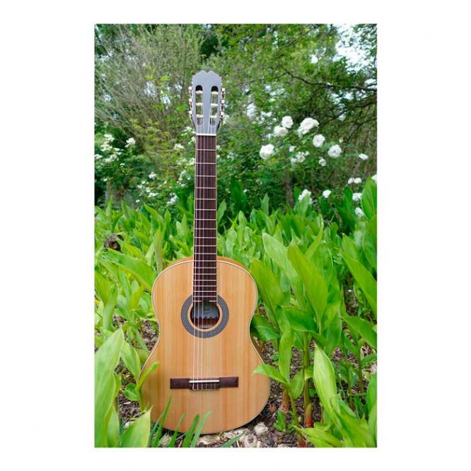 Guitarra Admira Java
