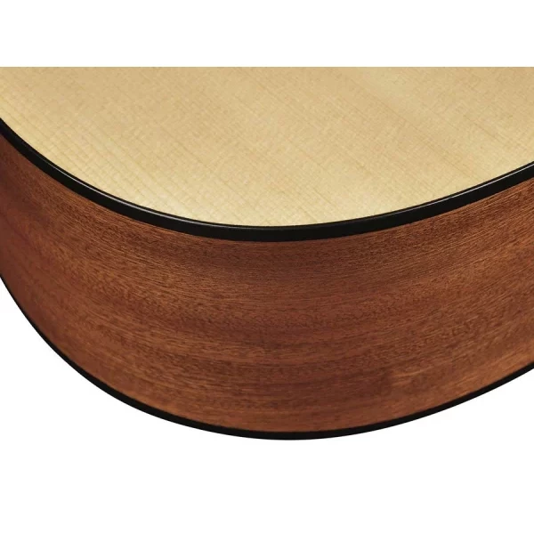 Guitarra Acústica Dreadnought Richwood ARTESANA - Imagen 8