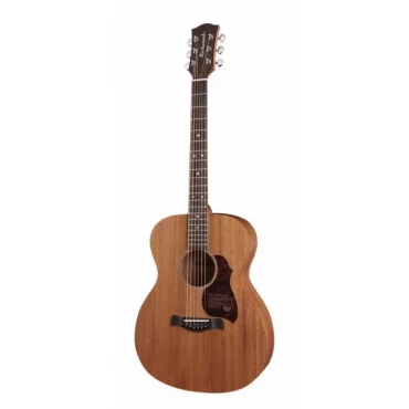 GUITARRA ACÚSTICA RICHWOOD AUDITORIUM ARTESANA