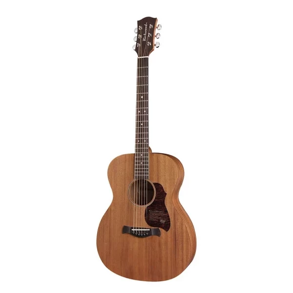 GUITARRA ACÚSTICA RICHWOOD AUDITORIUM ARTESANA