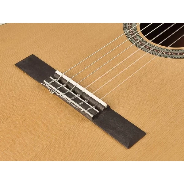 GUITARRA SALVADOR 3/4 ABETO/SAPELI SATINADA - Imagen 5