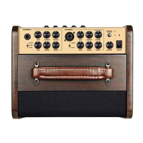 Amplificador guit. Acústica Richwood 2 canales - Imagen 2