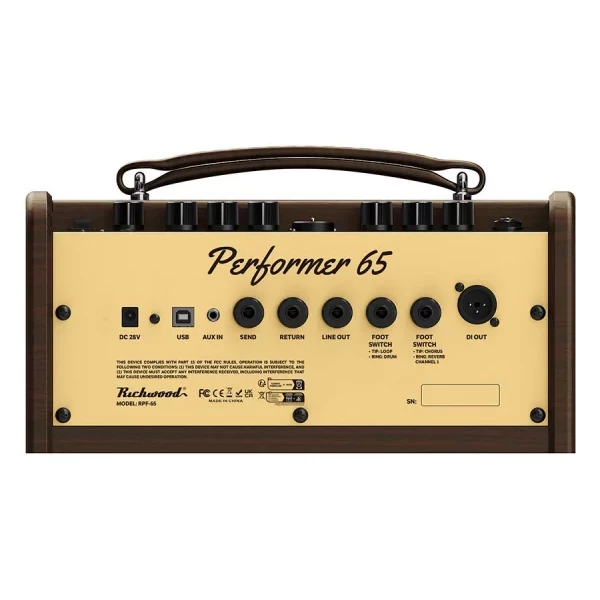 Amplificador guit. Acústica Richwood 2 canales - Imagen 4
