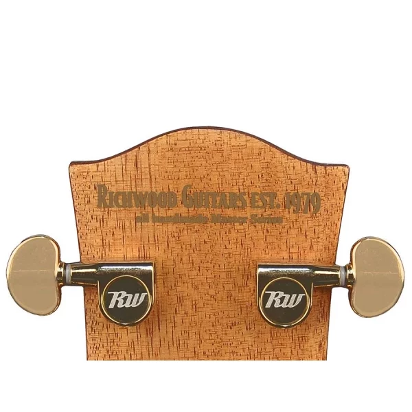 GUITARRA ACÚSTICA RICHWOOD ELECTRIFICADA AUDITORIUM ARTESANA - Imagen 6