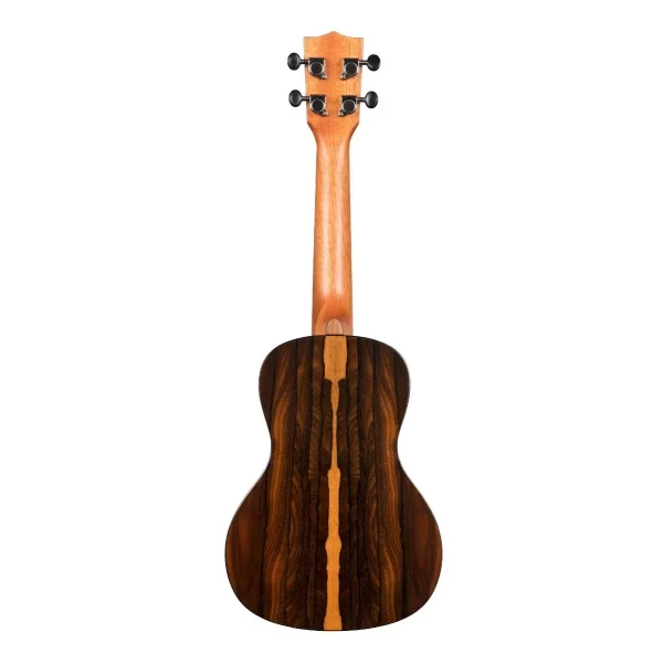 UKELELE KALA CONCIERTO DE ZIRICOTE - Imagen 4