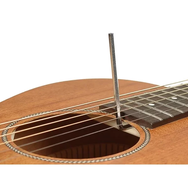 GUITARRA ACÚSTICA RICHWOOD PARLOUR ARTESANA - Imagen 6