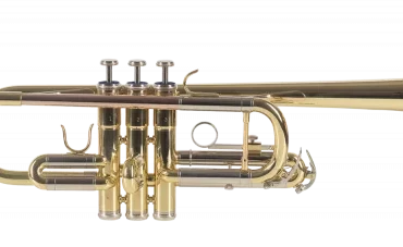 TROMPETA AMADEUS PROFESIONAL TRC800 en DO