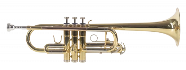 TROMPETA AMADEUS PROFESIONAL TRC800 en DO